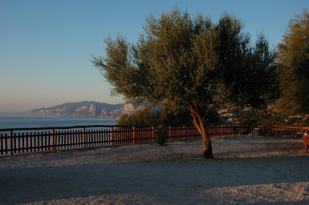 Agriturismo Codula Fuili กาลาโกโนเน ภายนอก รูปภาพ