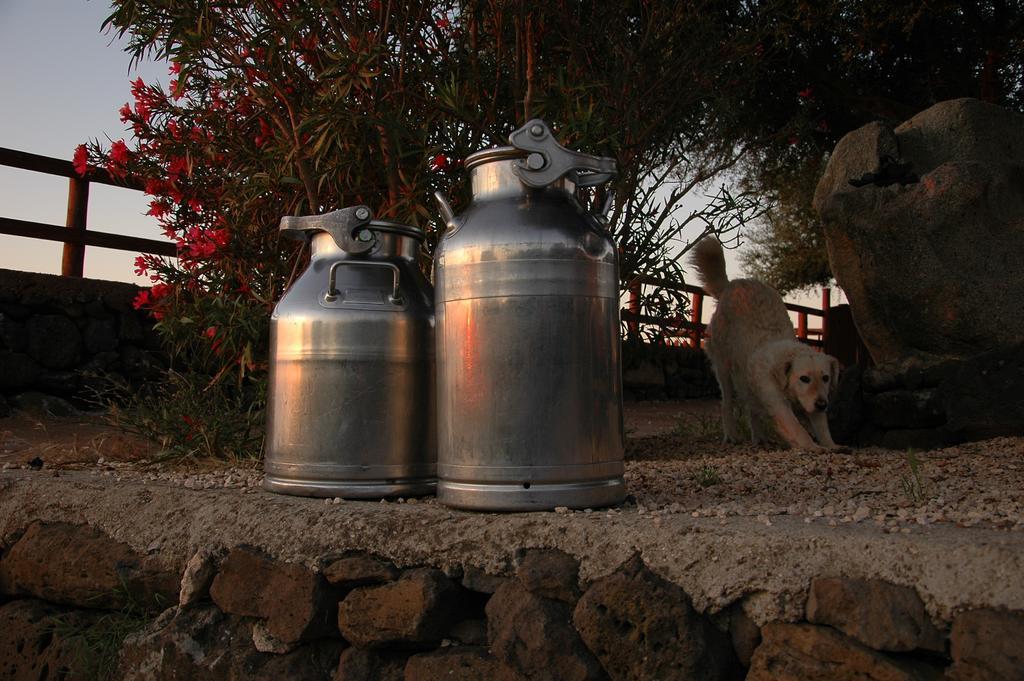Agriturismo Codula Fuili กาลาโกโนเน ภายนอก รูปภาพ