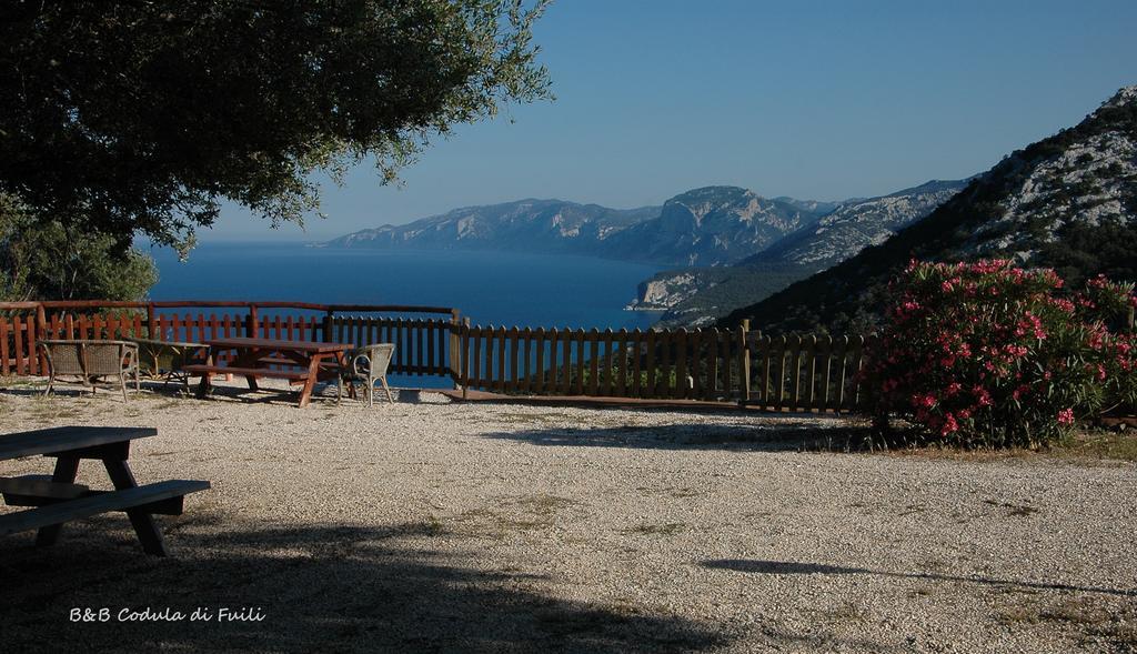 Agriturismo Codula Fuili กาลาโกโนเน ห้อง รูปภาพ