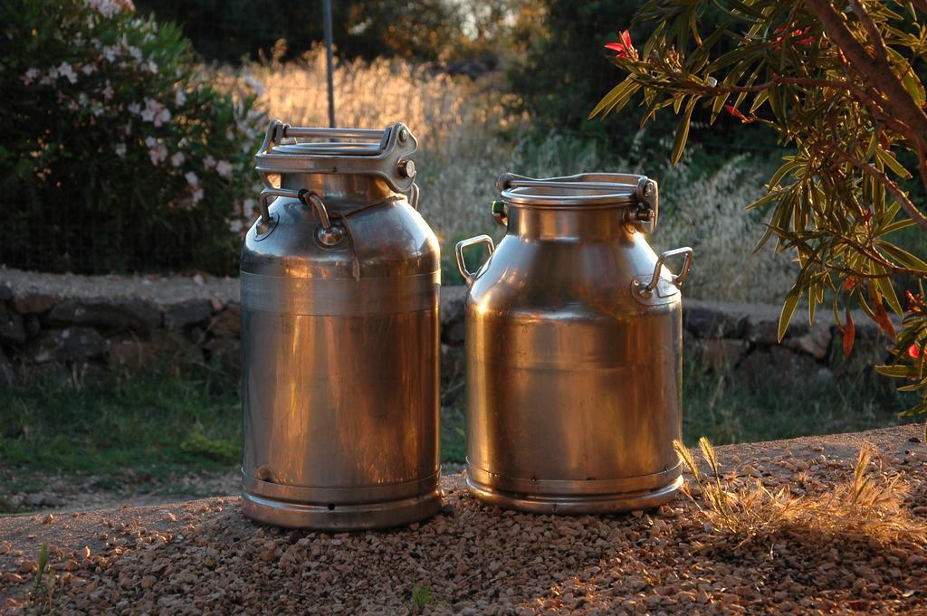 Agriturismo Codula Fuili กาลาโกโนเน ภายนอก รูปภาพ