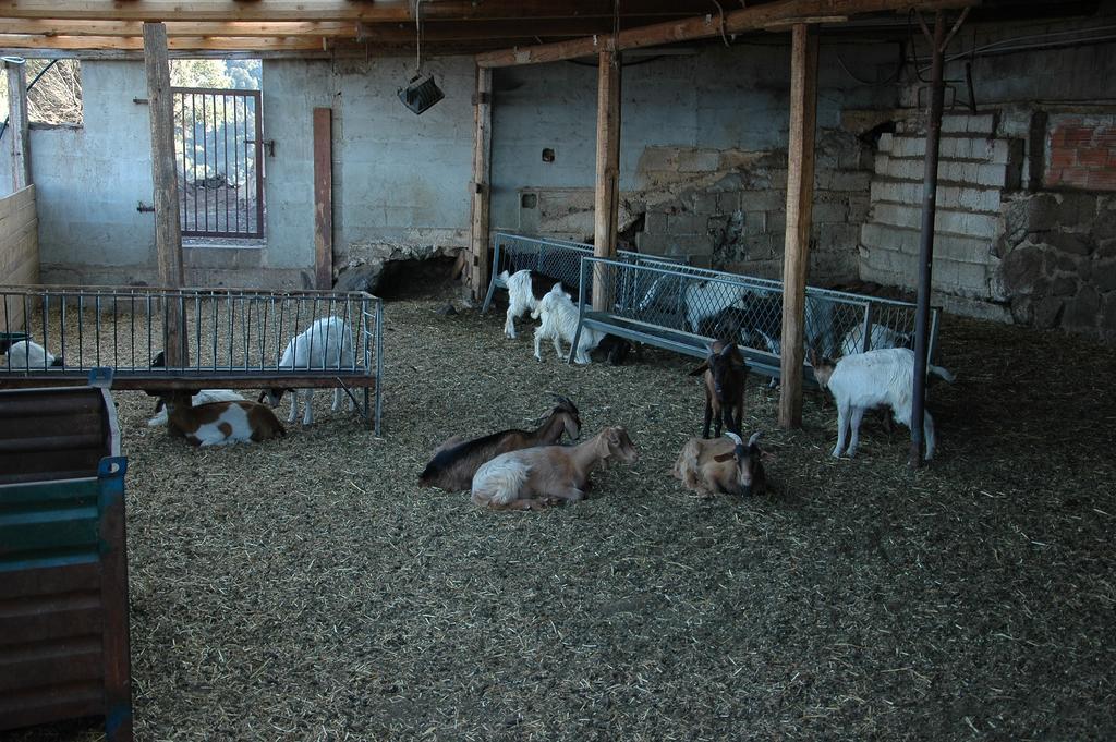 Agriturismo Codula Fuili กาลาโกโนเน ภายนอก รูปภาพ
