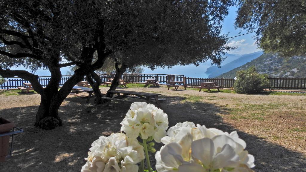 Agriturismo Codula Fuili กาลาโกโนเน ภายนอก รูปภาพ
