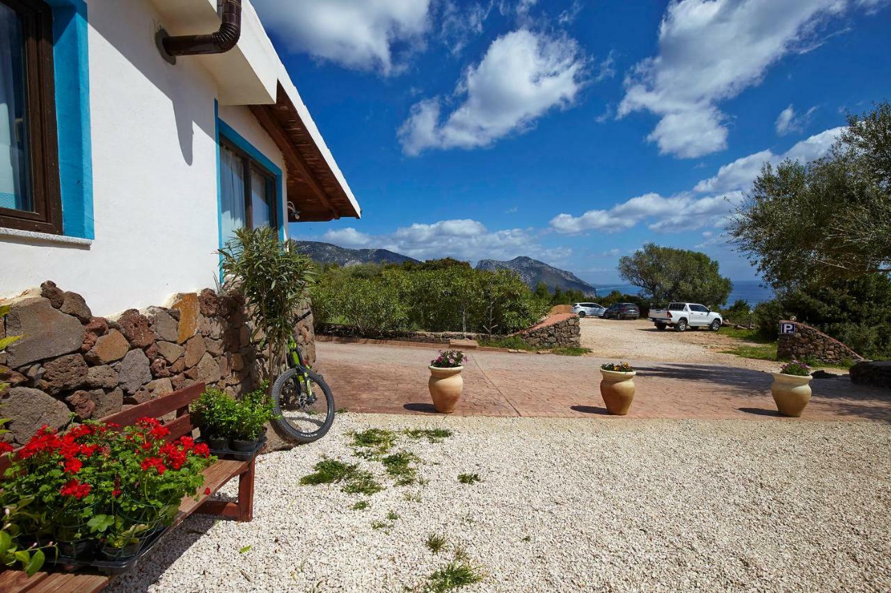 Agriturismo Codula Fuili กาลาโกโนเน ภายนอก รูปภาพ